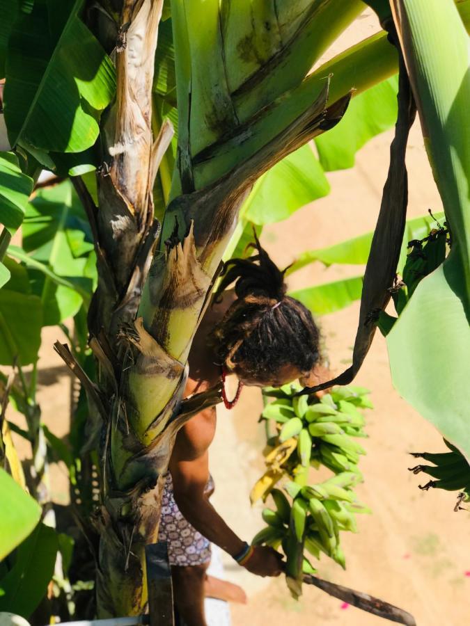 Pousada Tangerina Icarai  Bagian luar foto
